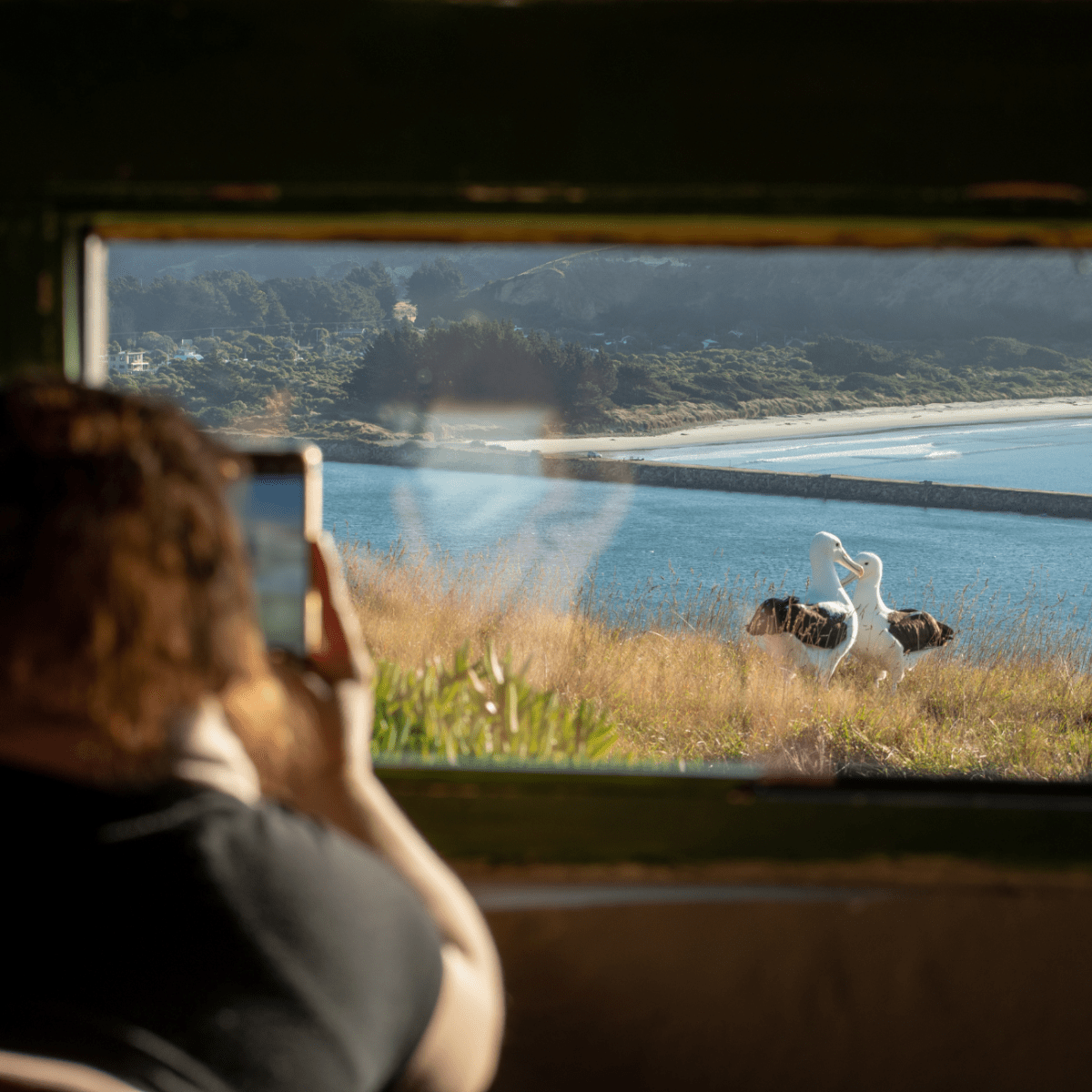 a person sitting next to a body of water